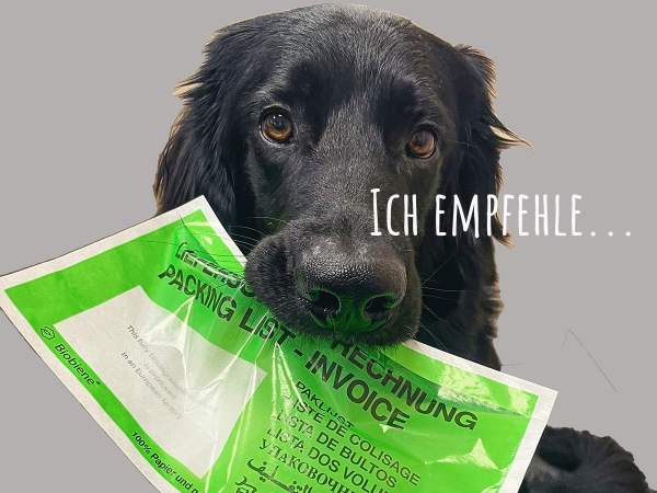 Lieferscheintaschen DIN Lang Grün aus Papier 100 Stück Kleinpackung (FSPPDL-BB-100)